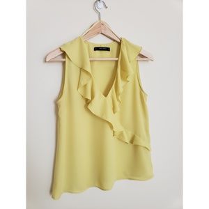 Zara flutter Top V Neck